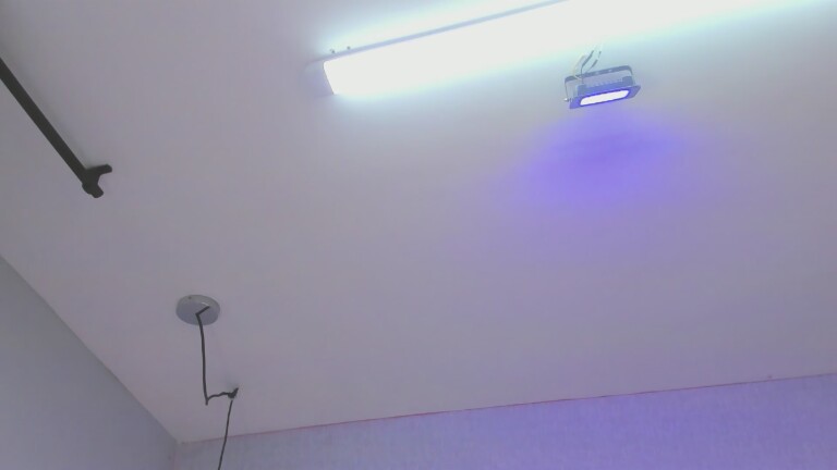 Anna_Velvet's Streamate show and profile