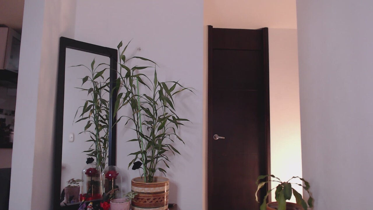 Naiara_Dreams