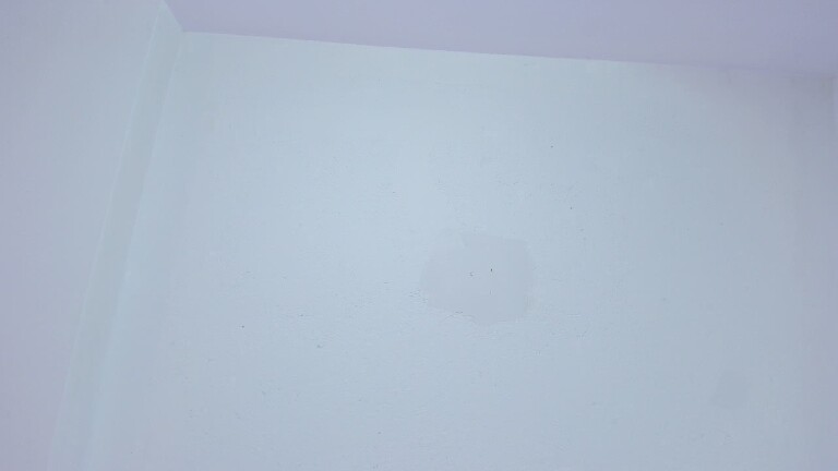 IsabelOrtega's Streamate show and profile